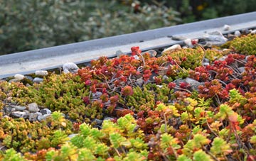 the cost of Ballymacarret green roof installation