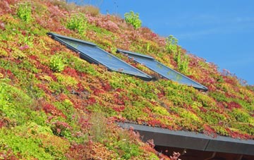 Ballymacarret living roof systems