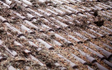 Ballymacarret roof cleaning companies